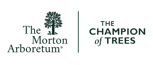 The Morton Arboretum