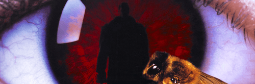 Youth Voices | Rachel Ward