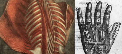 Graphic! Educator Resources: Science and Technology