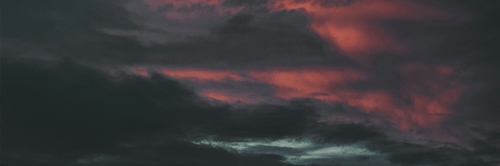 SCARY BUT TRUE starter kit