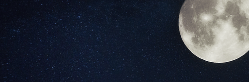 SLEPT ON starter kit