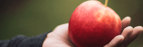 YOU CAN'T HANDLE THE TRUTH starter kit