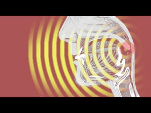 The Operatic Animal: Ana María Martínez & Colin Ure