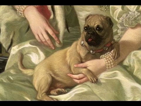 Ladies, Pugs, and Porcelain