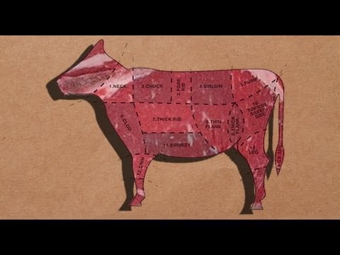 Consuming Animals: Rob Levitt & Tom Philpott