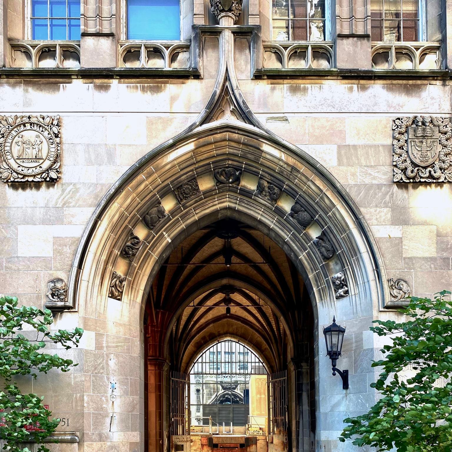 Hyde Park Doorways of Chicago Walking Tour 12:15 p.m.