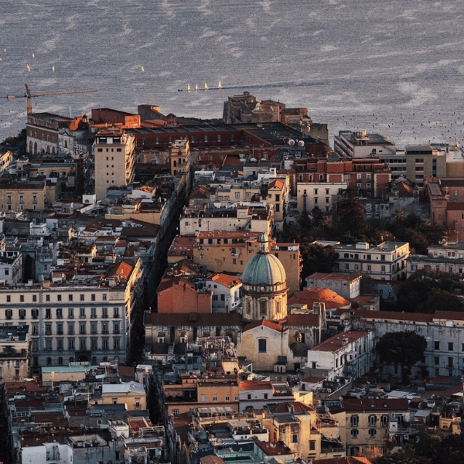 Elena Ferrante in Translation: A Panel Discussion