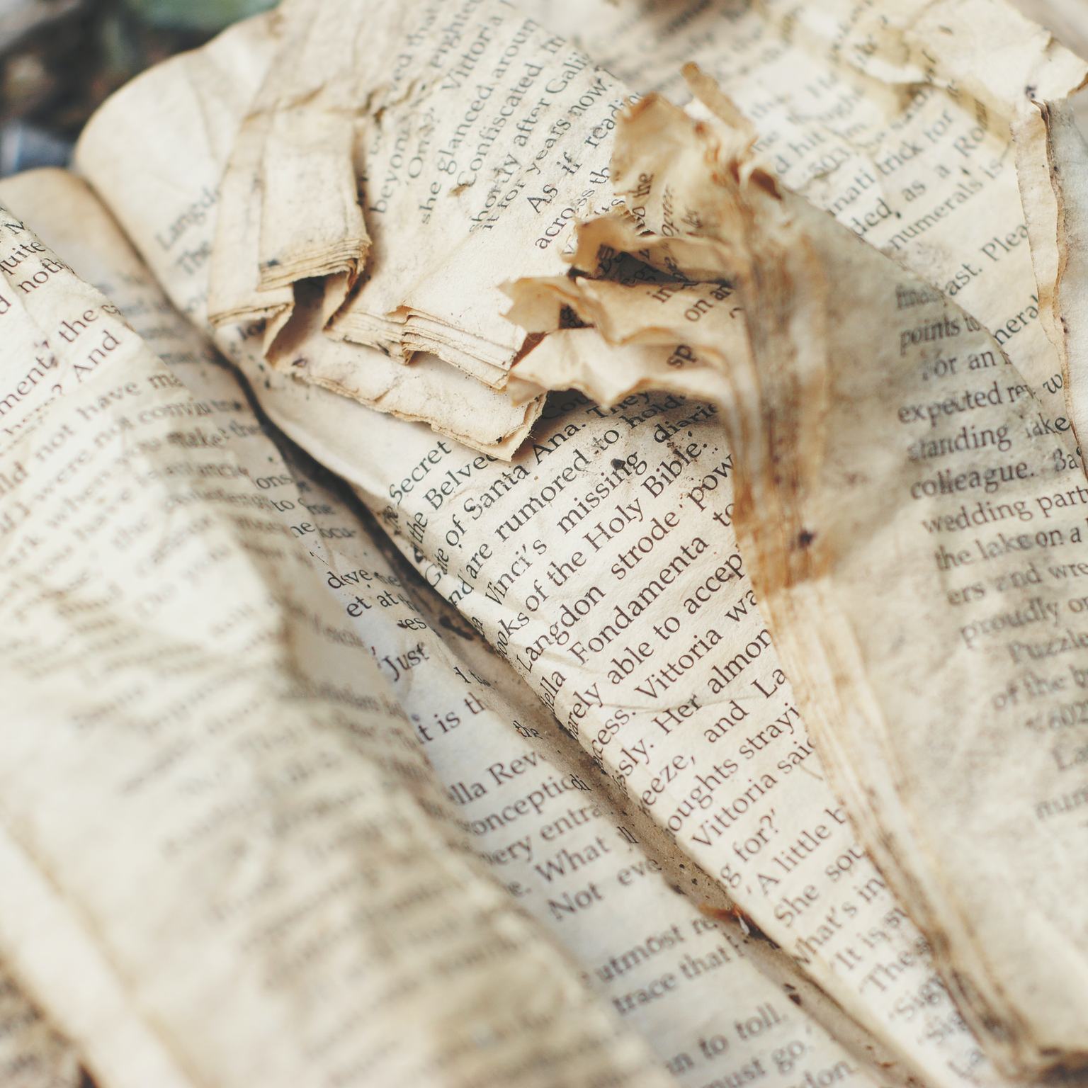 Emily Wilson on the Iliad