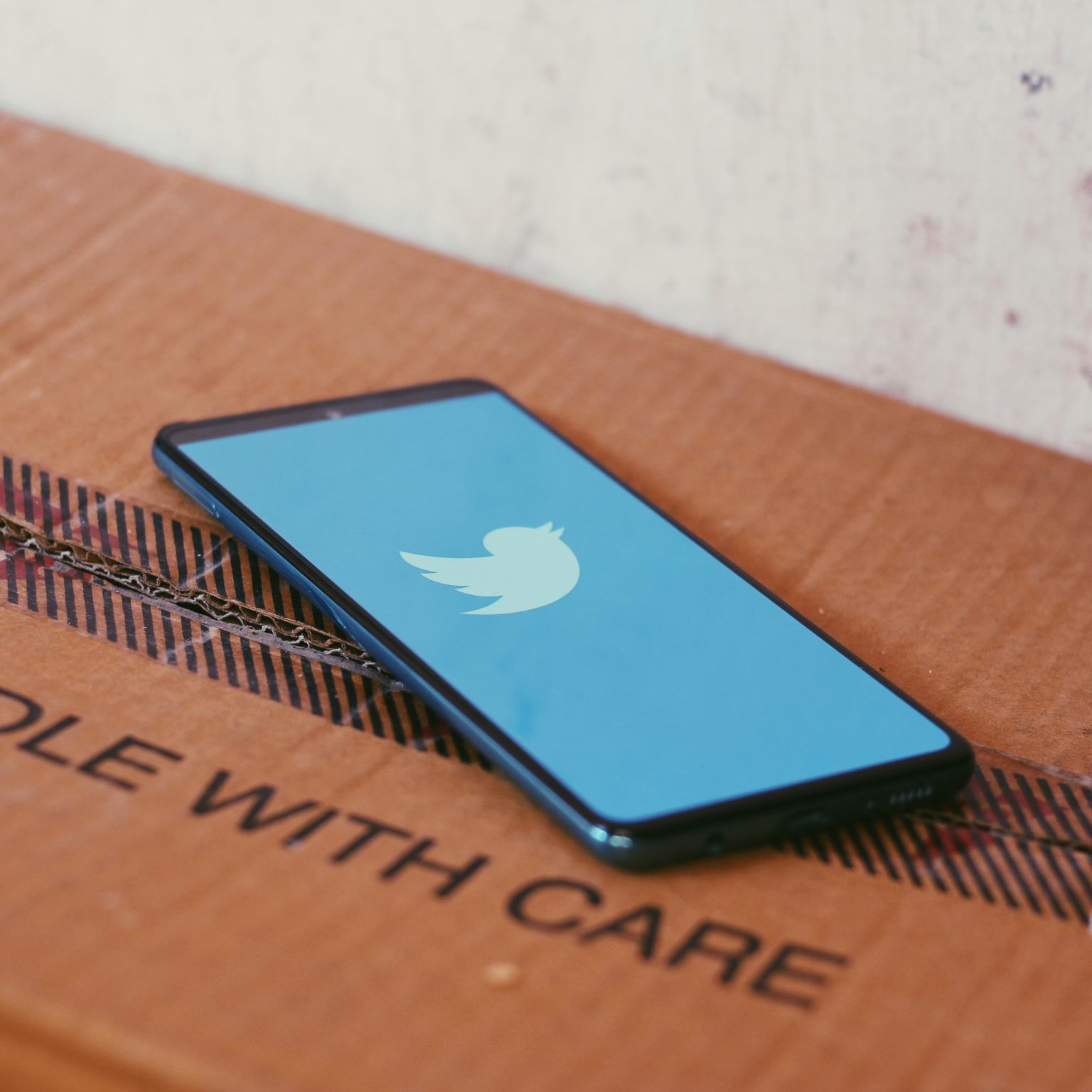 Social Media and Democracy
