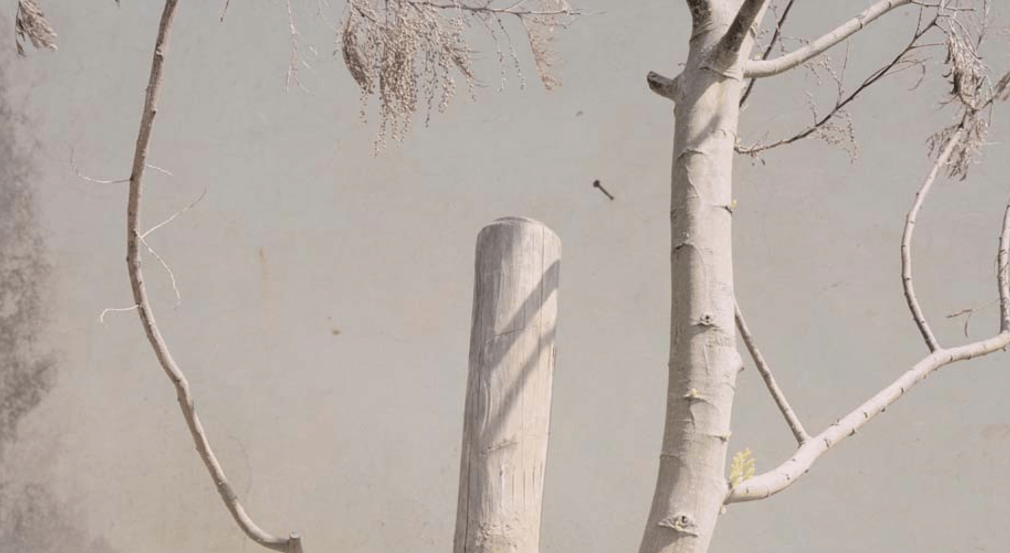 What does peace look like?