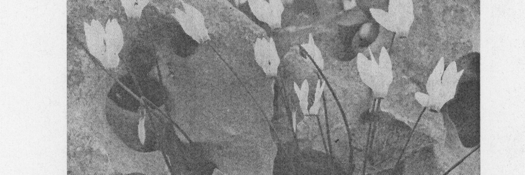 Power 2019: Arts and Culture