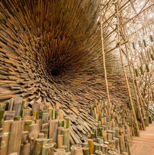 Creating Sustainable Practices in Chicago