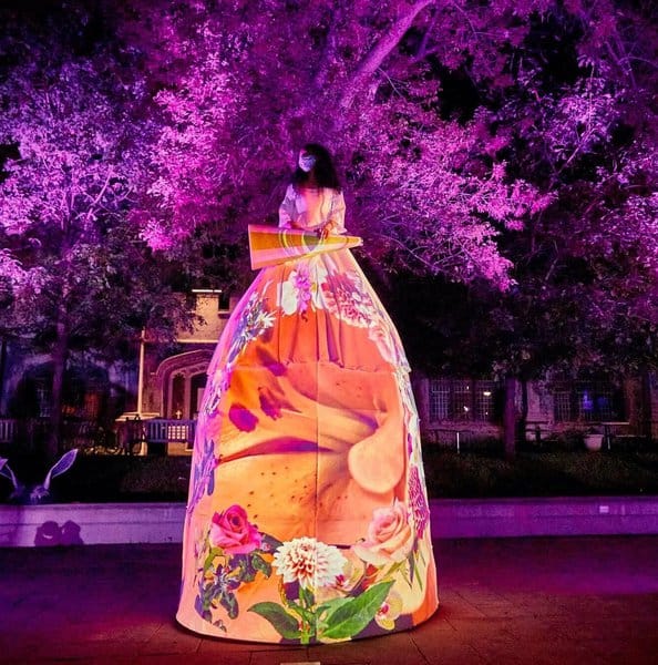 Cabinet of Curiosity and PARA.MAR (PASS ONLY)