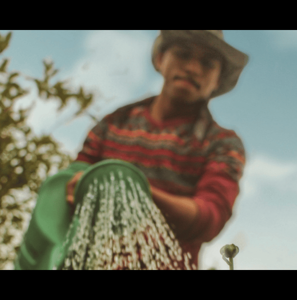 Community Gardens as Neighborhood Resources