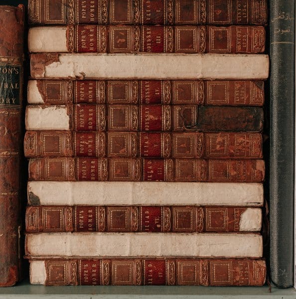 Daniel Mendelsohn: A Landmark Translation of The Odyssey