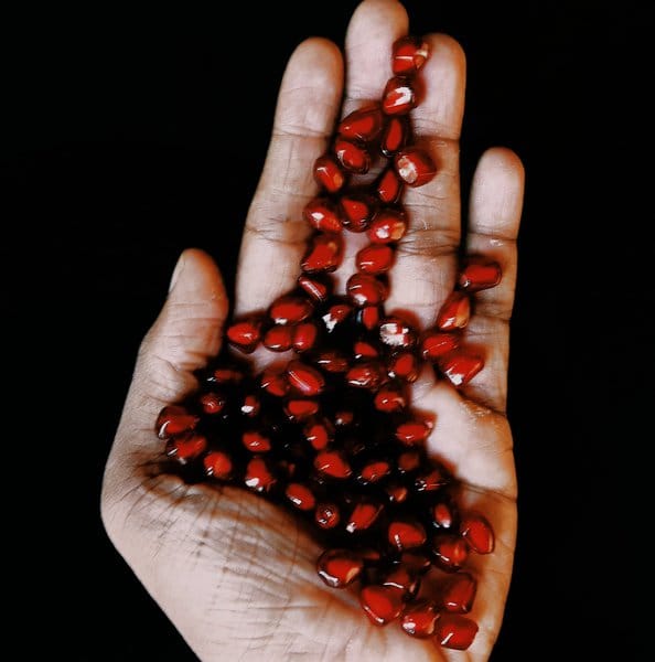 Marion Nestle: Unsavory Truths