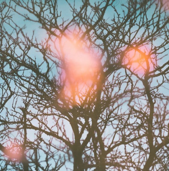 Manuel Lima: Visualizing Knowledge