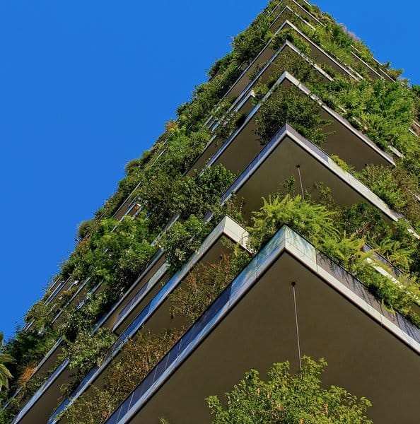 Speculative Infrastructure