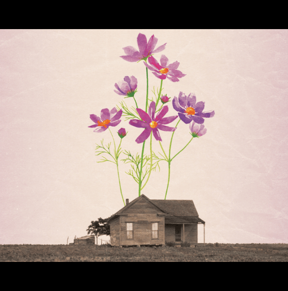 Salamishah Tillet: In Search of The Color Purple