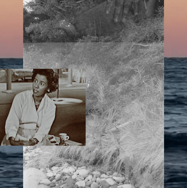 Imagining Chicago’s Future: A Film Screening & Conversation