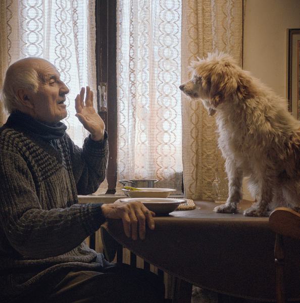 The Truffle Hunters: Filmmakers in Conversation